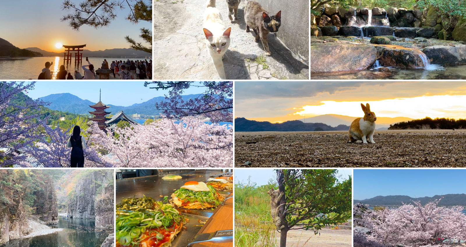 メインイメージ